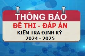 Đề - Đáp án Thi kiểm tra giữa Học kỳ I năm học 2024 - 2025
